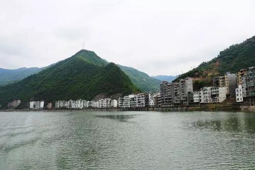 2447-hfkffam1564343.jpg