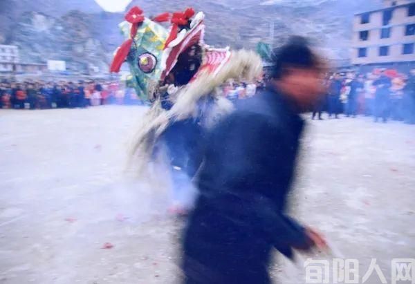 特色独具 神河龙(图5) 特色独具 神河龙(图5)