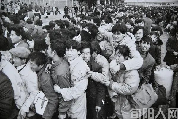 特色独具 神河龙(图11) 特色独具 神河龙(图11)