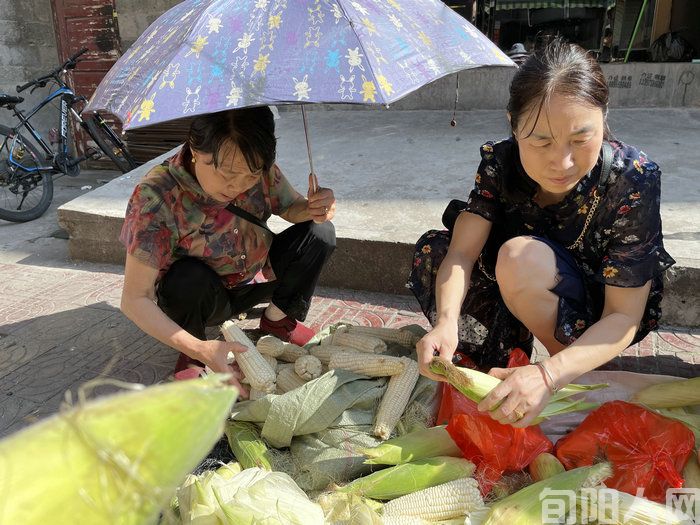 微信图片_20230722111118.jpg