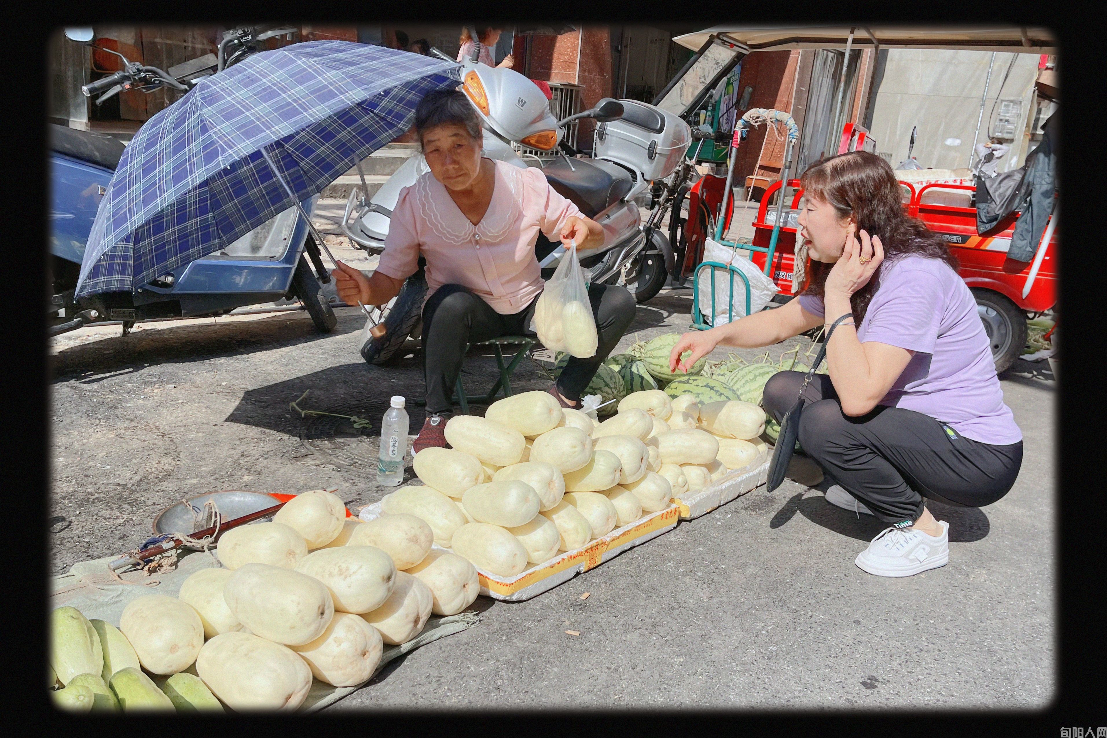 02本地甜瓜.jpg