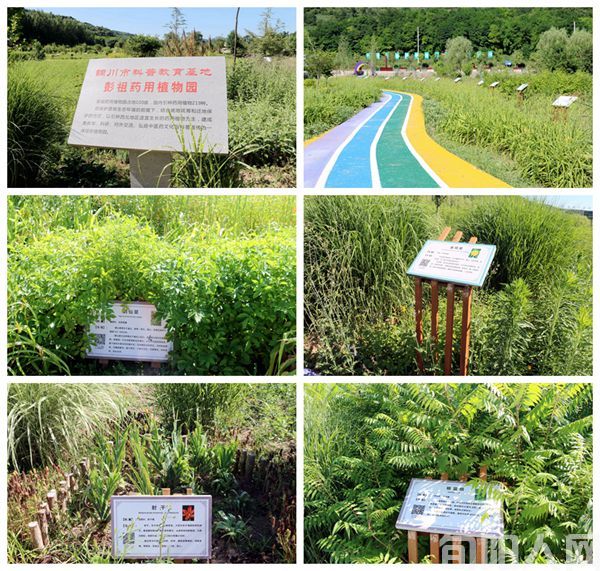 走进铜川宜君县彭祖药谷的中医药康养事业基地  ——绿色发展中