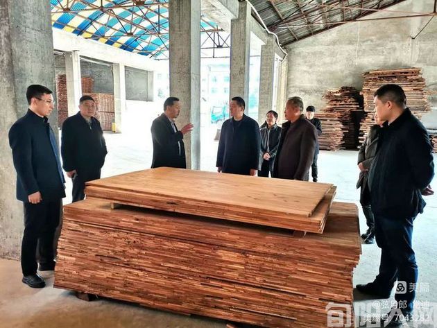 红椿木3.jpg