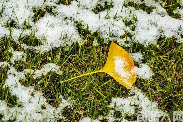 雪2.jpg