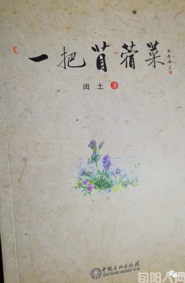 杨1.jpg