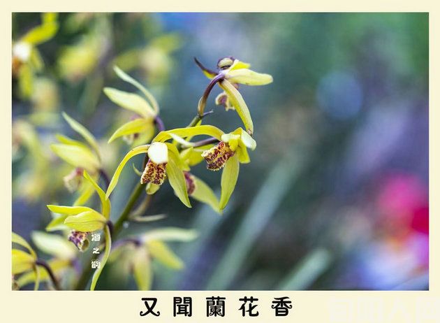 微信图片_20231209183854.jpg