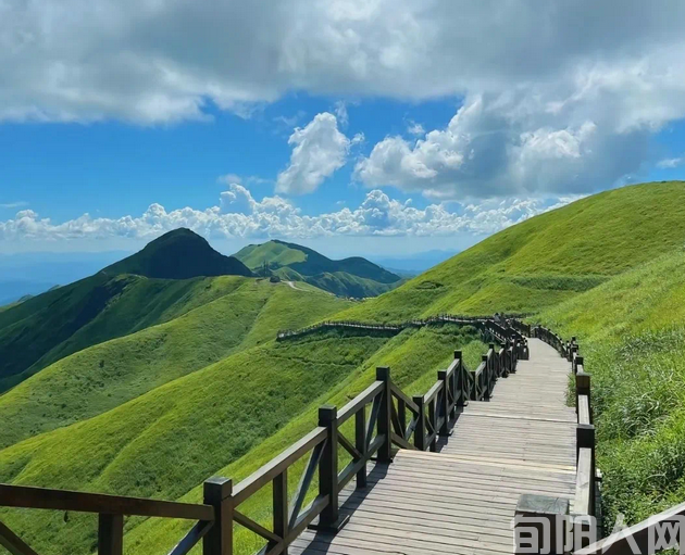风景插图.png