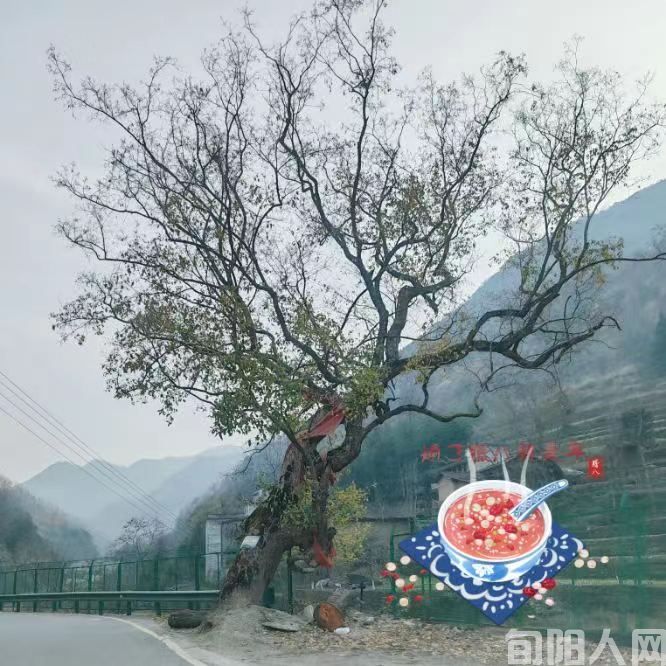 微信图片_20240118105737.jpg