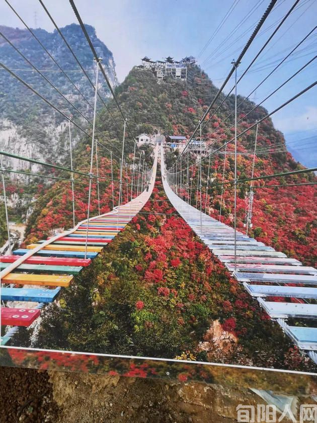 图片8.jpg