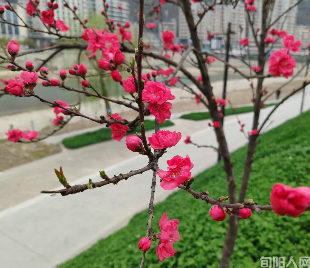 微信图片_20240325110739.jpg