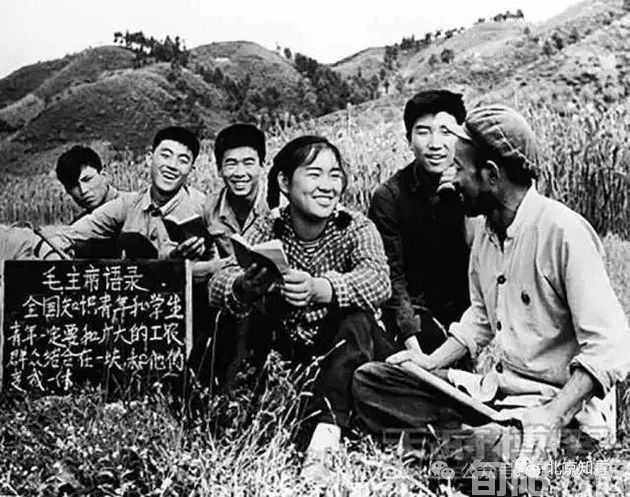 上山下乡.jpg