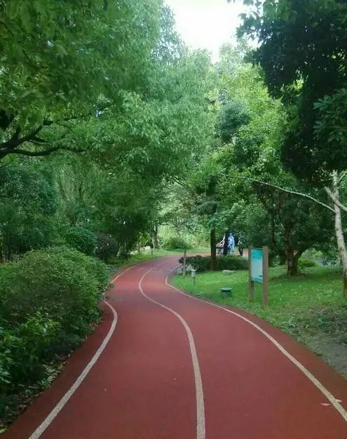 慢慢适应.jpg