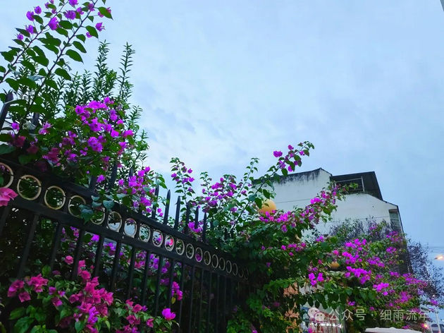 花好月圆2.jpg