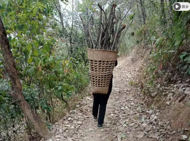 背柴火.png