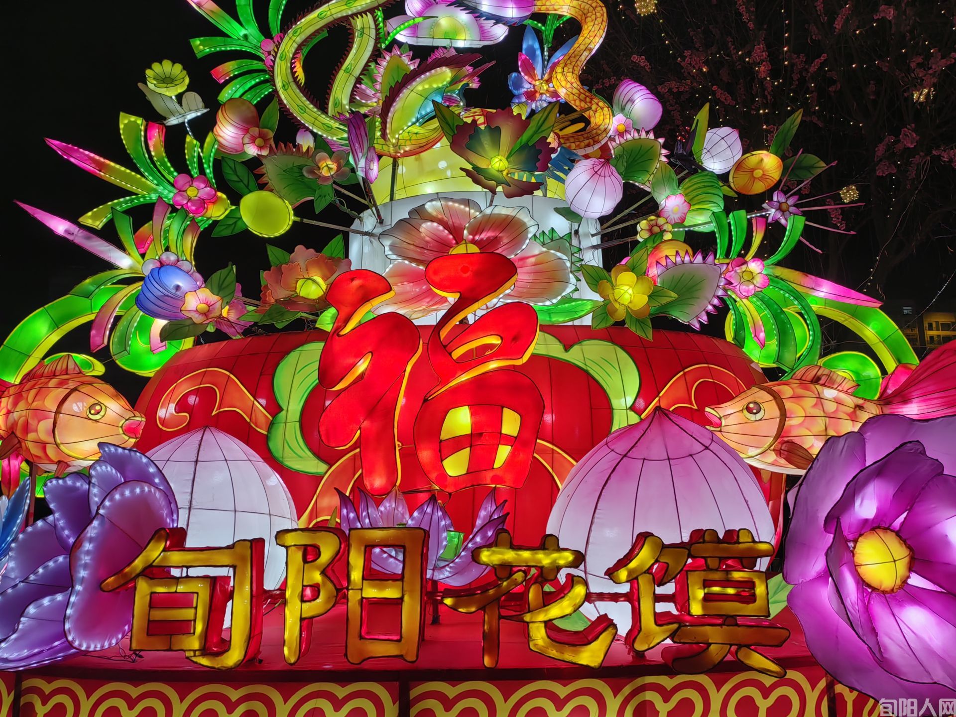 35ede4d38930da12a29235b86e80006b.jpeg