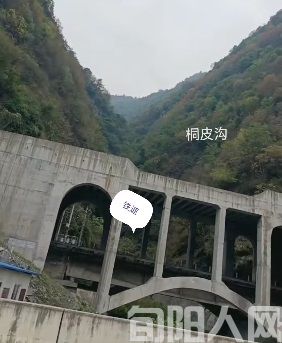 桐皮沟的牧羊人         文/黎光菊
