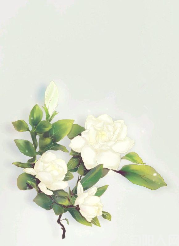 纪念册